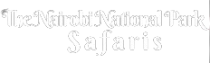 Nairobi National Park Safaris